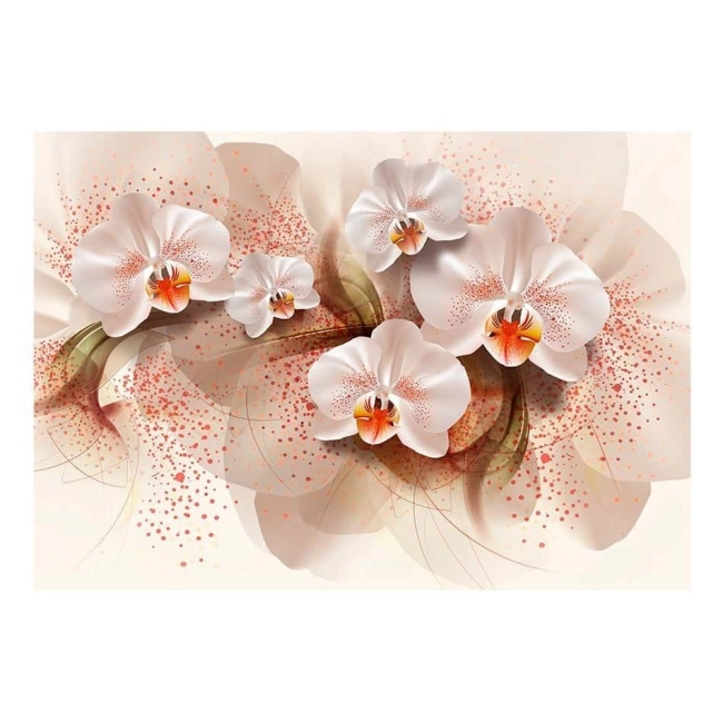 Fototapeta - Herbaciane orchidee