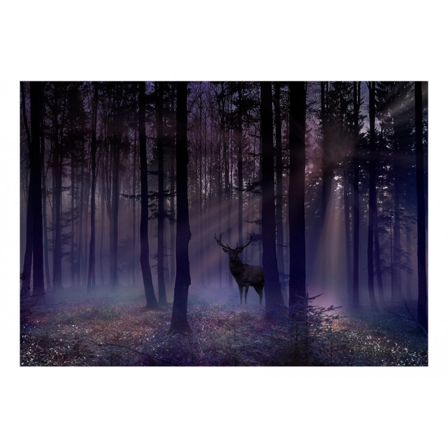 Fototapeta - Mistyczny las - drugi wariant
