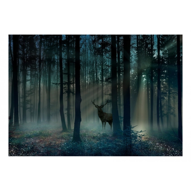 Fototapeta - Mistyczny las - trzeci wariant
