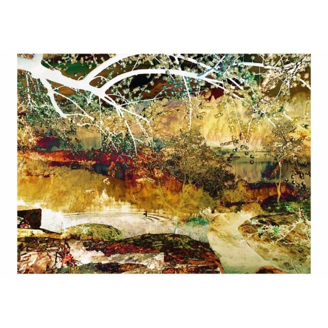 Fototapeta - River of life