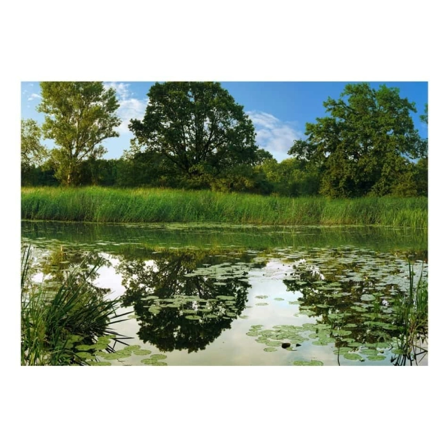 Fototapeta samoprzylepna - Czarodziejski staw