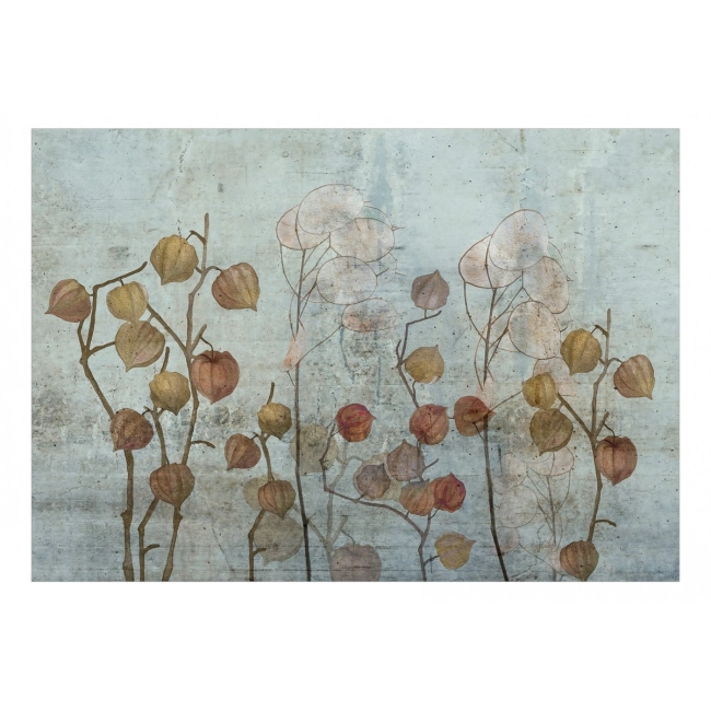 Fototapeta samoprzylepna - Malowana lunaria