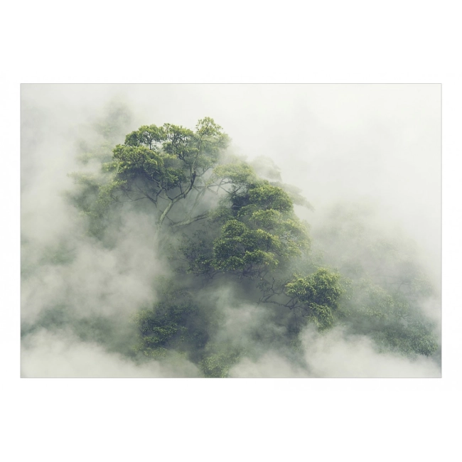 Fototapeta samoprzylepna - Mglista Amazonia