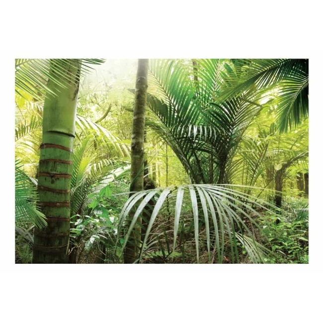 Fototapeta samoprzylepna - Zielona aleja