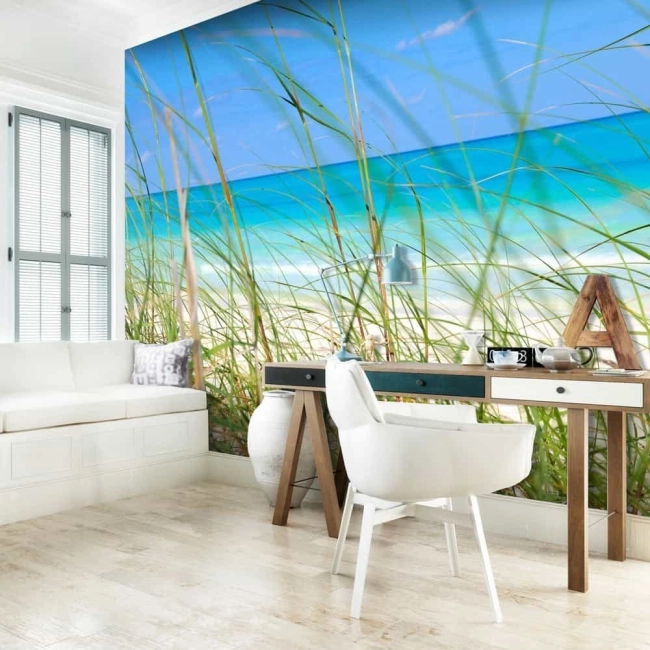Fototapeta - Tropical journey