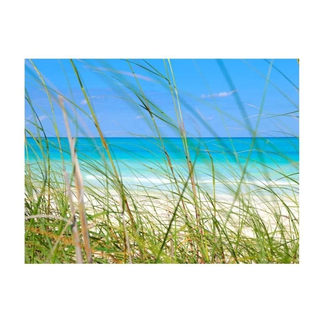 Fototapeta - Tropical journey