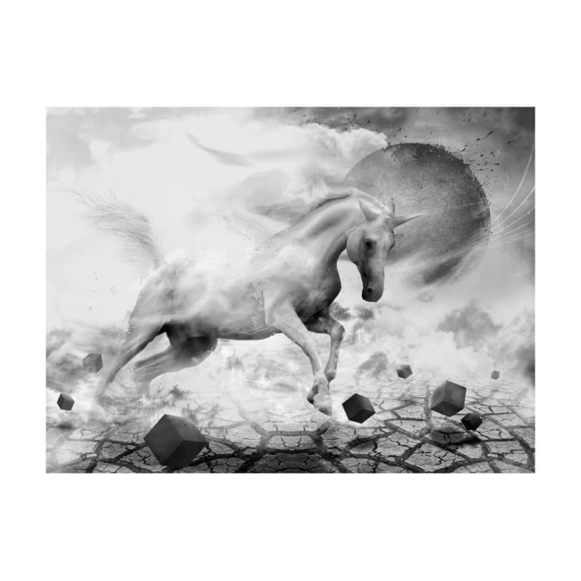 Fototapeta - Unicorn