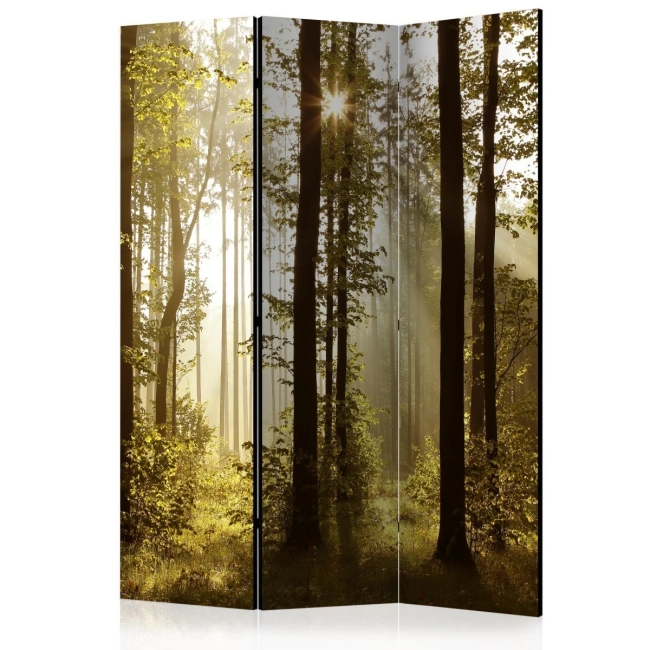 Parawan 3-częściowy - Las: Poranne słońce [Room Dividers]