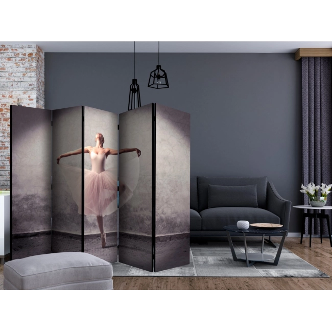 Parawan 5-częściowy - Balet - poezja bez słów [Room Dividers]