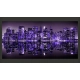 Fototapeta XXL - American violet