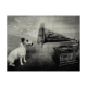Fototapeta - Dog's melodies