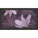 Fototapeta XXL - Dreamy flowers