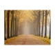 Fototapeta - Journey to the unknown