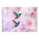 Fototapeta - Kolorowe kolibry (fioletowy)