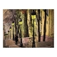 Fototapeta - Lonely walk through Montmartre
