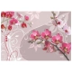 Fototapeta - Lot różowych orchidei