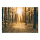 Fototapeta - Magiczne światło