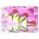 Fototapeta - Orchidee w kolorze lila