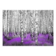 Fototapeta - Purpurowy azyl