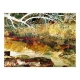 Fototapeta - River of life