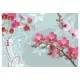 Fototapeta - Różowe orchidee - wariacja II