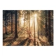Fototapeta samoprzylepna - Jesienny bór