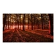 Fototapeta samoprzylepna - Jesienny poranek II