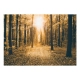 Fototapeta samoprzylepna - Magiczne światło