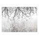 Fototapeta samoprzylepna - Naturalna jasność
