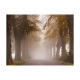 Fototapeta - Ślepa uliczka