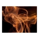 Fototapeta - Smoke art