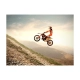 Fototapeta - Sport motorowy