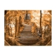 Fototapeta - Stairs to paradise