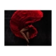 Fototapeta - Tancerka flamenco