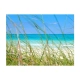 Fototapeta - Tropical journey