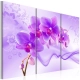 Obraz - Eteryczna orchidea - fiolet