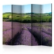 Parawan 5-częściowy - Lawendowe pola [Room Dividers]
