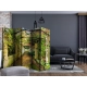 Parawan 5-częściowy - Pergola II [Room Dividers]
