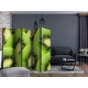 Parawan 5-częściowy - Plasterki kiwi [Room Dividers]