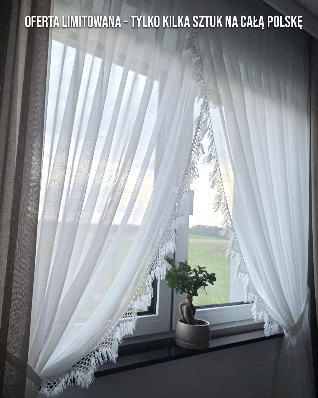 firana_zakladana