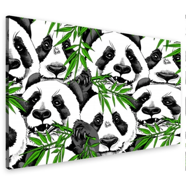 OBRAZ - A Panda gdzie? - Obraz na płótnie do salonu - 100x80